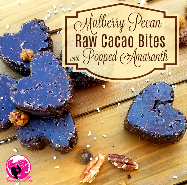 Mulberry Pecan Raw Cacao Bites with Popped Amaranth - scrumptiousmoms